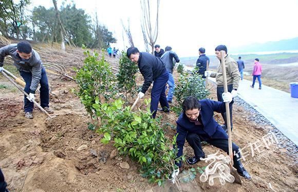 3、本次植樹約40畝。記者 李文科 攝.jpg