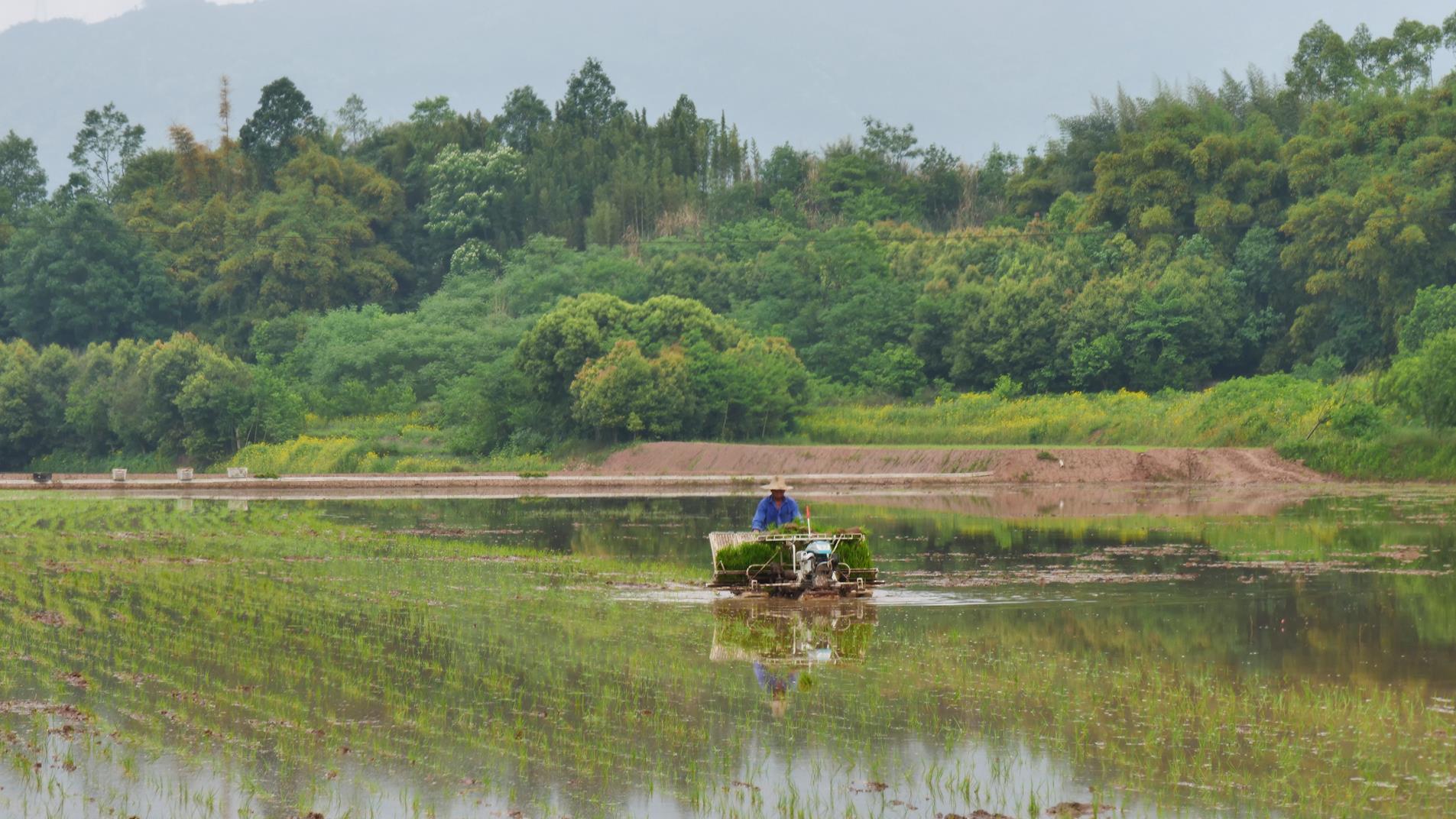 c5b6207943b84fffa32e143c7d57bcc3.jpg c5b6207943b84fffa32e143c7d57bcc3.jpg