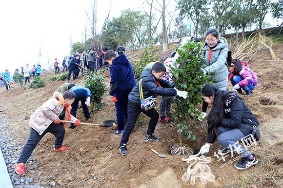 4、來自南岸區(qū)5所學校的學生參與了義務植樹活動。記者 李文科 攝.jpg