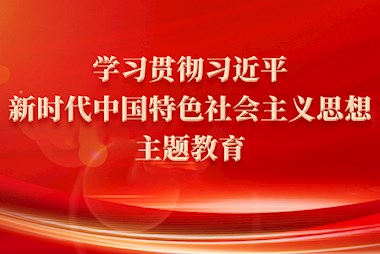 學習貫徹習近平新時代中國特色社會主義思想主題教育