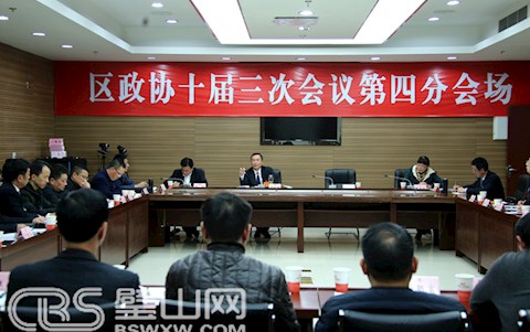 區政協十屆三次會議舉行分組協商