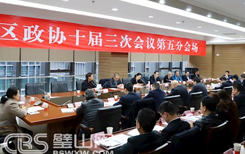 區政協十屆三次會議舉行分組協商