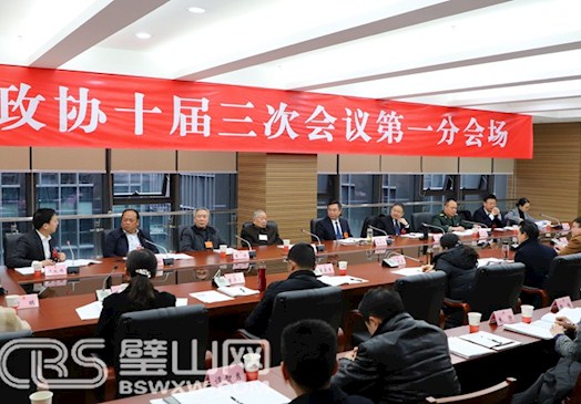 藍慶華秦文敏向邦俊參加政協分組討論