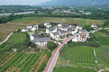 繪就巴渝和美鄉村畫卷