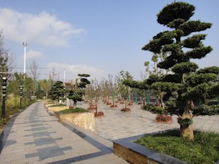 南河公園
