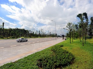 新區大道展靚容